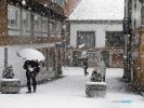 Reinosa 10 Febrero