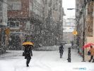 Reinosa 10 Febrero