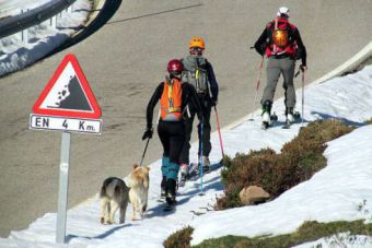 Estado de la nieve 19  de Diciembre