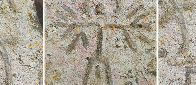 El Guerrero Cntabro de Hermandad de Campoo de Suso