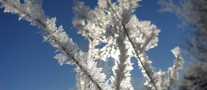 Nestares -17.3 y Reinosa -15.7 la temperatura ms baja de Espaa hoy