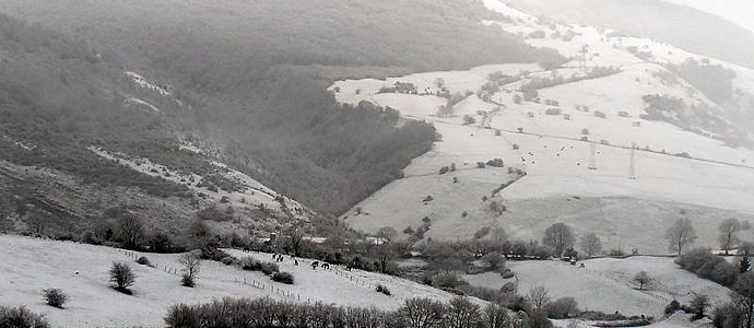 Nieve en todas las cotas en Campoo