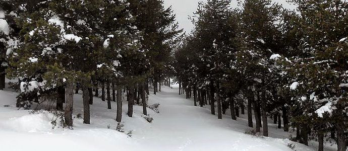 Paseo por Las Carrizosas
