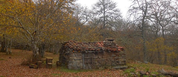 Sel del Maestro