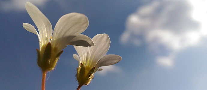 Termina el invierno y empieza la primavera
