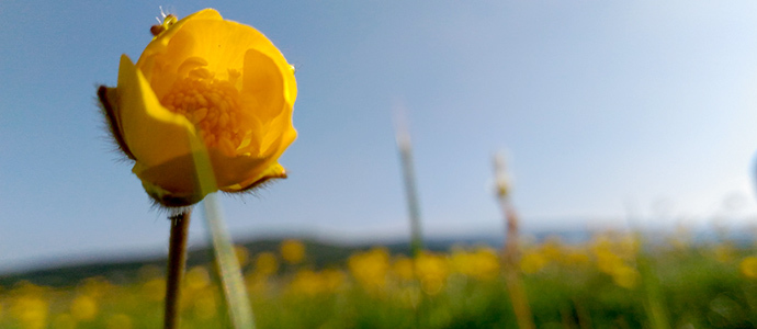 Termina el invierno y empieza la primavera