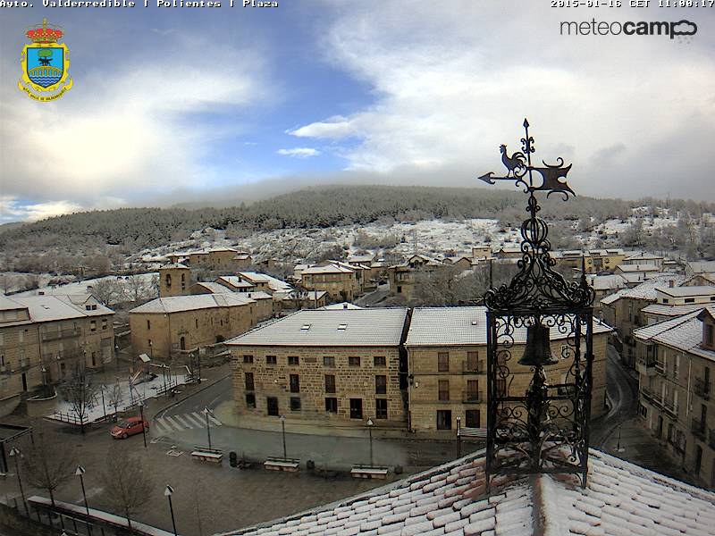 Polientes nevado