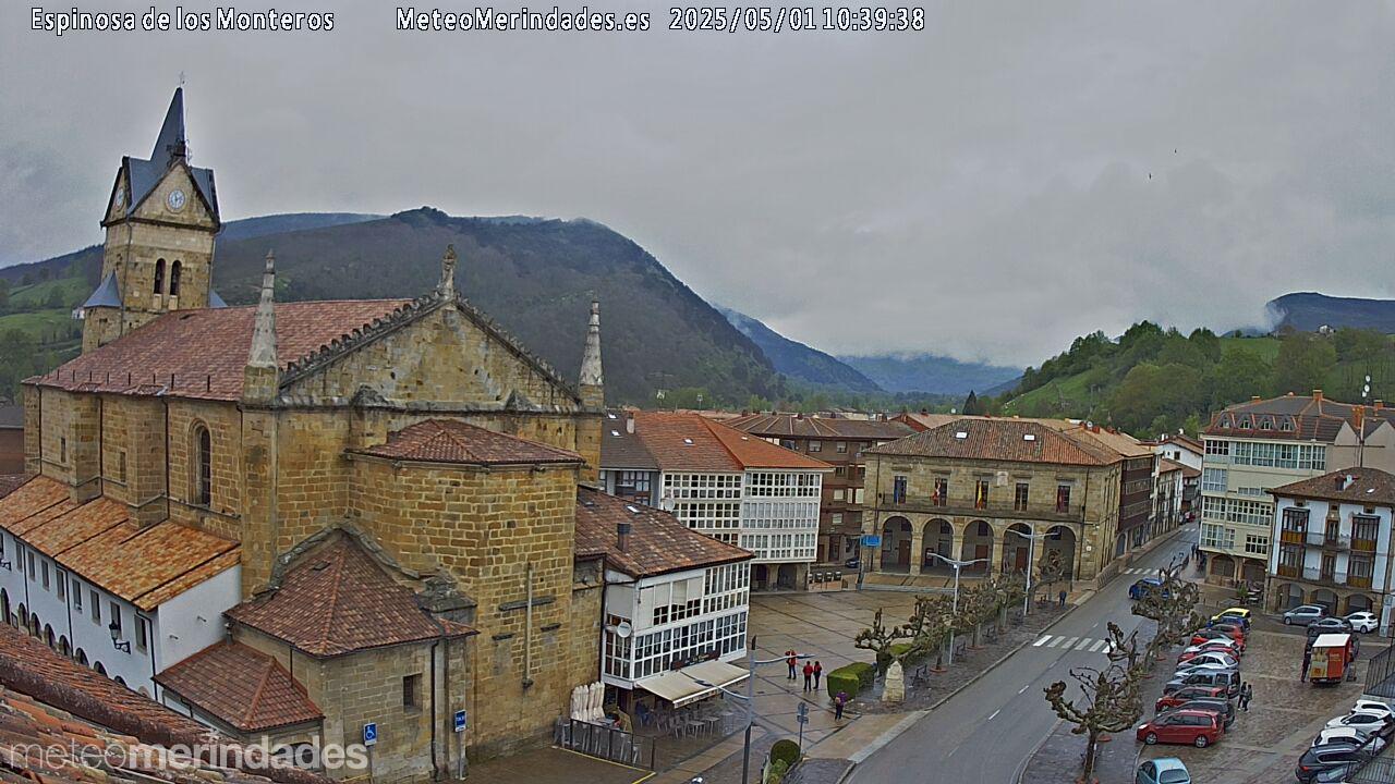 Webcam Espinosa de los Monteros